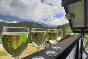 Перлина гір 28