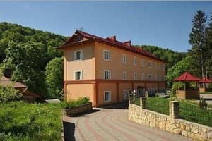 Первоцвет 17