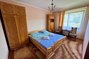 Під Боржавою 3