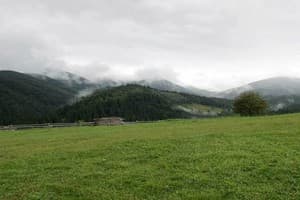 Під Вухатим каменем 5