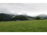 Під Вухатим каменем 5