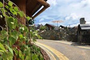 Під стріхою 5