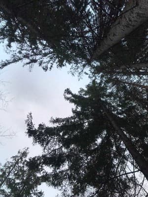 Підкова 18