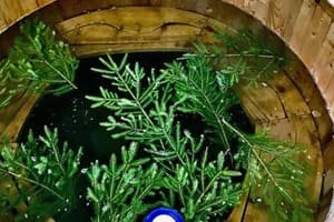 Под Пикуем 17