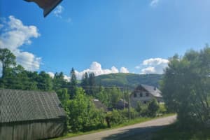 Под березами 4