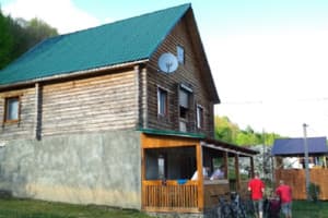 Под березами 1