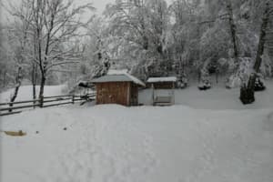 Под березами 4