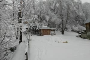 Под березами 3