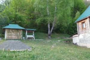 Под березами 3