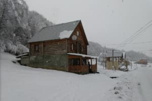 Коттедж Под березами