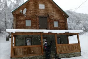 Под березами 2