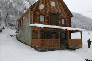 Под березами 1