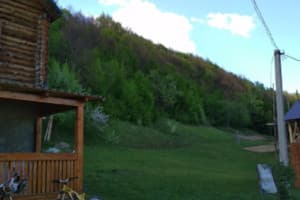 Под березами 2