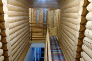 Под березами 7