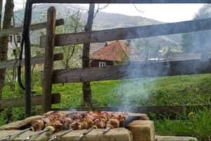 Под березами 5