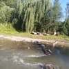 Під скелею 13