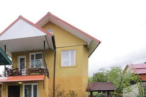 Подсолнух 1