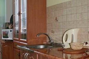 Подсолнух 2