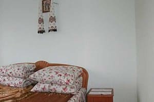 Подсолнух 3