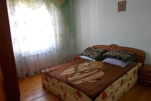 Подсолнух 4