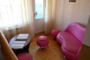 Подсолнух 5