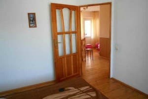 Подсолнух 8