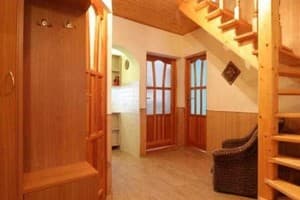 Подсолнух 9