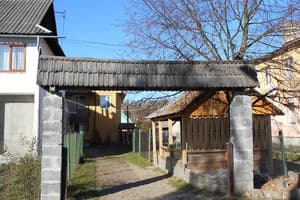 Подсолнух 2