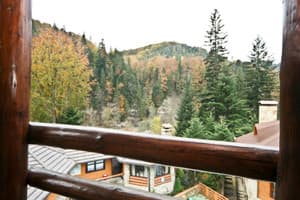 Поляна Кохання 11