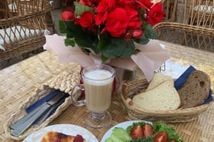 Полярис 55