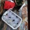 Полярис 51