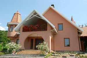 Polychka Winehouse 7