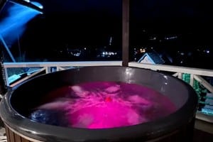 Порядочная Газдыня 14