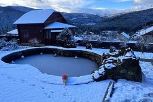 Порядочная Газдыня 15