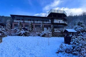 Порядочная Газдыня 17