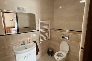 Гостинично-ресторанный комплекс Praktik Hotel & Restaurant. Люкс 4-местный  4