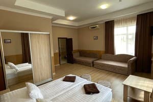 Гостинично-ресторанный комплекс Praktik Hotel & Restaurant. Люкс 4-местный  3