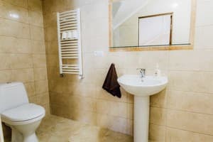 Гостинично-ресторанный комплекс Praktik Hotel & Restaurant. Люкс двухместный Double 4