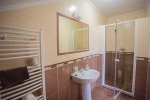 Гостинично-ресторанный комплекс Praktik Hotel & Restaurant. Полулюкс трехместный  5