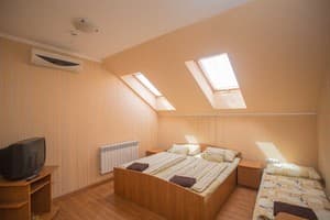 Гостинично-ресторанный комплекс Praktik Hotel & Restaurant. Полулюкс трехместный  4