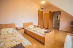 Гостинично-ресторанный комплекс Praktik Hotel & Restaurant. Стандарт трехместный с раздельными кроватями 2
