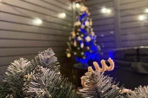 Предгорье Тростяна 13