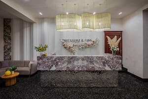 Premium hotel & SPA 26