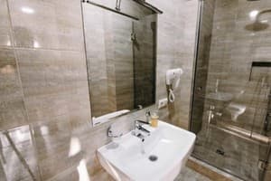 Отель Premium hotel & SPA. Люкс 4-местный  3