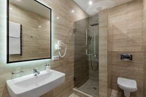 Отель Premium hotel & SPA. Люкс 4-местный  9