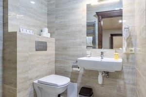 Отель Premium hotel & SPA. Люкс 4-местный мансардный 3