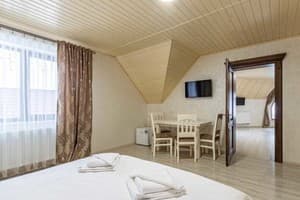 Отель Premium hotel & SPA. Люкс 4-местный суперлюкс мансадный 4