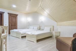 Отель Premium hotel & SPA. Стандарт 4-местный мансардный 1