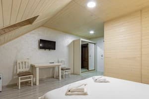 Отель Premium hotel & SPA. Стандарт двухместный мансардный 2