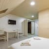 Отель Premium hotel & SPA. Стандарт двухместный мансардный 2